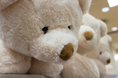 sevimli doldurulmuş hayvanlar üzerinde 3 görüntüleme