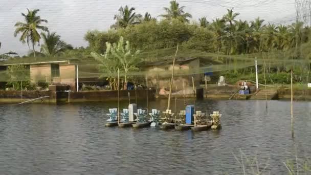 Hélices Systèmes Aération Utilisés Dans Les Élevages Crevettes Goa Inde — Video