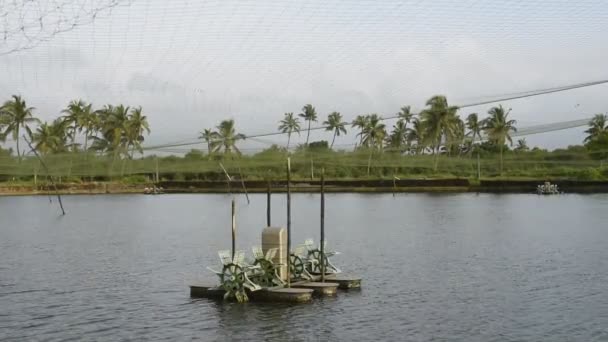 Goa Hindistan Daki Karides Karides Çiftliklerinde Pervane Hava Sistemleri Kullanılıyor — Stok video