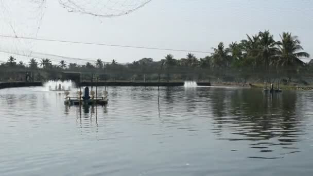 Hélices Systèmes Aération Utilisés Dans Les Élevages Crevettes Goa Inde — Video
