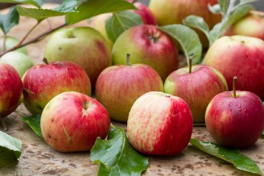 Taze koparılmış kırmızı elmalar.