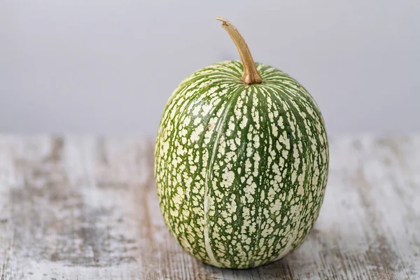 Kind Green Marbled Pumpkin — Stock Photo, Image
