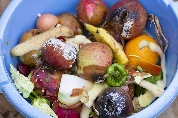 Bioélelmiszer Törmelék Komposztálásra Műanyag Vödörben Stock Fotó