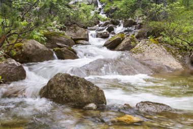 Katalan Pireneleri 'nden geçen bir yürüyüş rotası