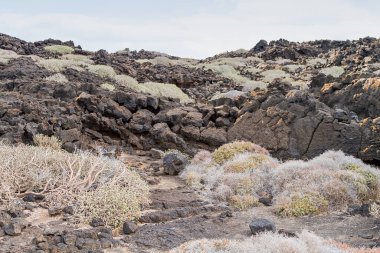 Lanzarote adasındaki Timanfaya bölgesinde volkanik manzara