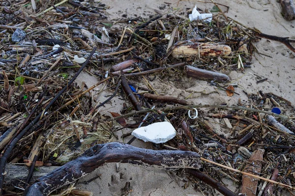 Garbage Organic Remains Trees Plants Beach — Zdjęcie stockowe