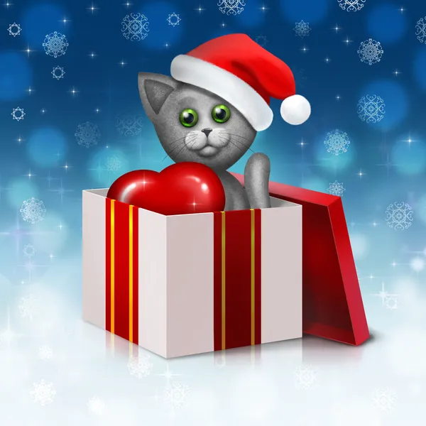 Gato gris en la caja de regalo — Foto de Stock