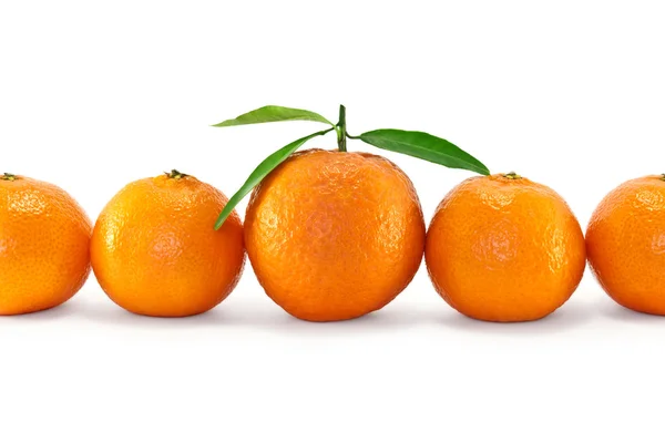 Mandarines mûres — Photo