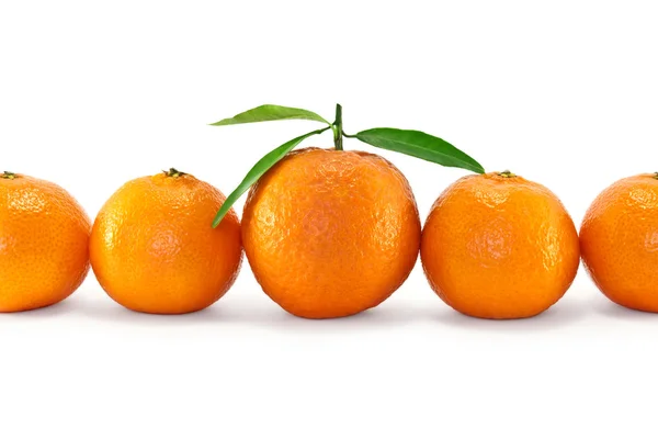 Ripe mandarijnen — Stockfoto