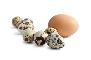 Beyaz arkaplanda yumurtalar