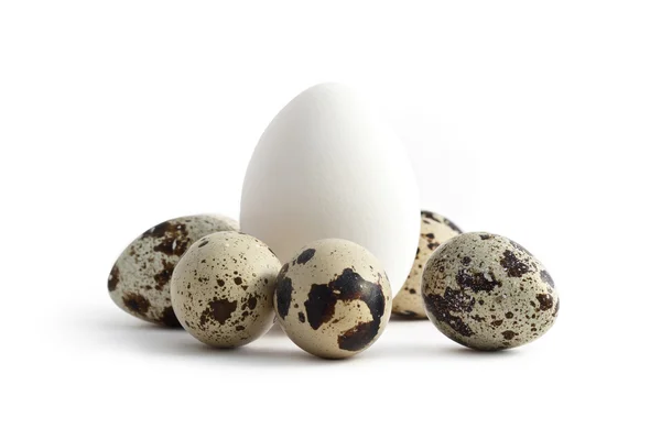Яйца на белом фоне — стоковое фото