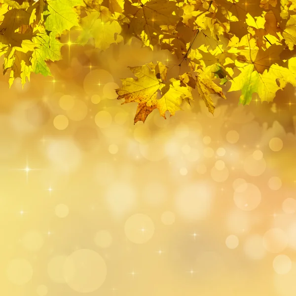 Autumn background — Stock Photo, Image