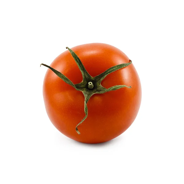 Tomato isolated on white — Stock Photo, Image