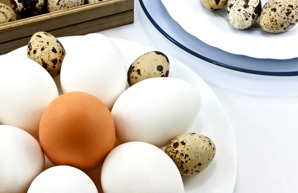 Assiette avec oeufs — Photo