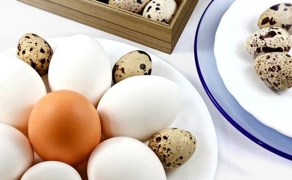 Тарелка с яйцами — стоковое фото