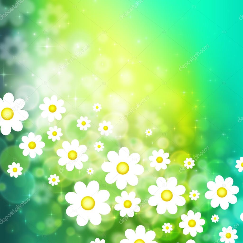 Spring background with chamomiles