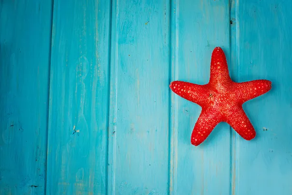 Starfish in blue background — Stock Photo, Image