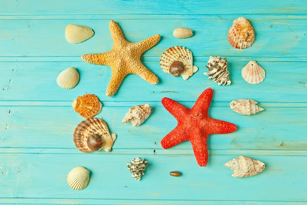 Sea treasures Royalty Free Stock Images