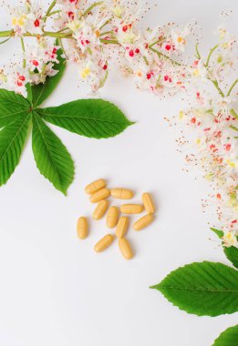 Bir şişe at kestanesi özü, kestane çiçeği özü. Çiçekli dallar ve at kestanesi yaprakları. İlaç, tablet, tentür üretimi.