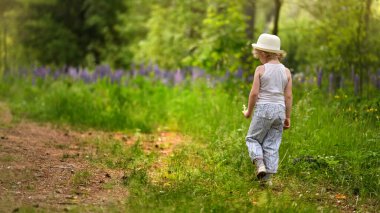Gün batımında mor çiçek tarlasında bir buket lupinle küçük kız elleri. Çocuk günü. Sıcak bir yaz akşamında yürü