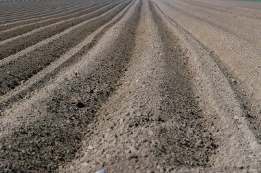Çizgileri olan kuru tarıma elverişli toprak