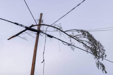 Şiddetli fırtına büyük bir bozulma ve yaşam uyarısı riski oluştururken, tepedeki elektrik kablolarına takılan ağaç dalının düşük görüntüsü. Kopyalama alanı ile.