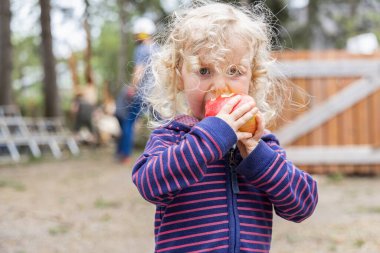 Açık havada taze kırmızı elma yiyen üç yaşında tatlı bir çocuğun portresi. Dalgalı sarı saçlı ve sağlıklı atıştırmalıkları olan bir çocuk. Arka plandaki bulanık insanlar.