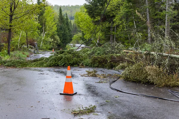 Rural road as raging tempest brings total destruction, uprooting trees and downing overhead utility lines. Traffic cones warn drivers of obstruction.