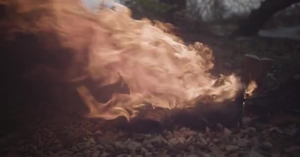 Camera Slowly Moves Closely Raging Fire Bright Orange Flames Revealing — Stockvideo