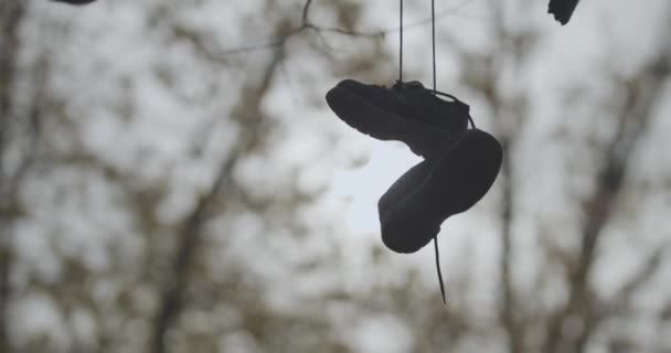 Sullen Footage Zoomed Abandoned Pair Sneakers Swinging Branch Old Tree — Stockvideo