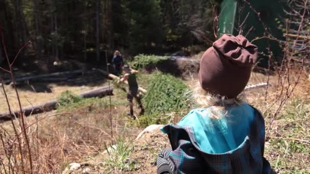 4歳の子供の肩の上に見る短いクリップ帽子を身に着けています見てアーボリストで仕事で森林 松の木を伐採し ログを切り刻む — ストック動画