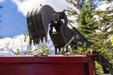 Hidrolik kolun yakın görüntüsü ve ağır bir kazıcı makinesinin kepçe kova, büyük bir kırmızı boşaltma kamyon doldurma fırtına üstüne ağaç dalları.