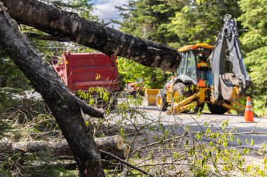 Kapalı bir otoyola yakın seçici bir odak noktası olan işçiler, yüksek rüzgardan sonra düşen ağaçları temizliyor. Dallar ön planda bulanık kazıcı ile görülür.