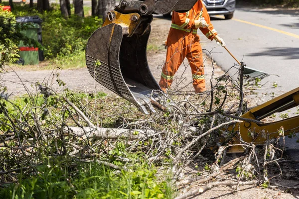 Vista Cerca Brazo Hidráulico Una Excavadora Trabajo Limpiando Ramas Árboles — Foto de Stock