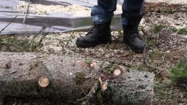 Ráközelített Egy Erdészeti Munkás Biztonsági Csizmájára Egy Kézi Láncfűrésszel Hogy — Stock videók