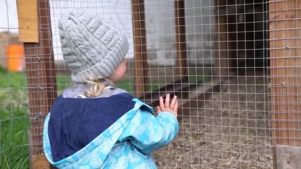 Des Images Ralenti Alors Mignon Garçon Trois Ans Accroche Clôture — Video