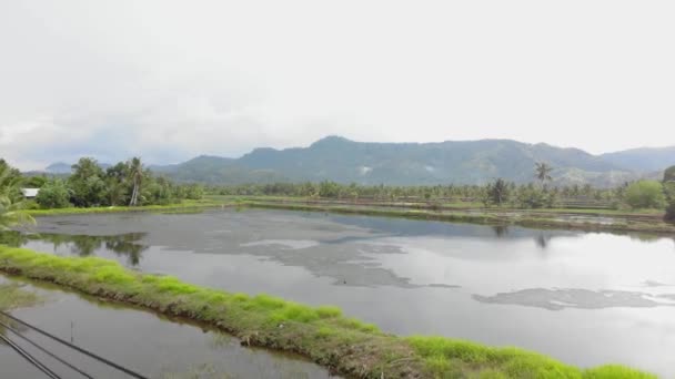 Vistas Aéreas Paisajes Impresionantes Bohol Filipinas Lago Agua Dulce Con — Vídeo de stock