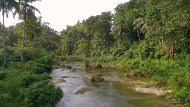 Aerial Shot Flying Shallow Stream Tropical Rainforest South East Asia — Wideo stockowe
