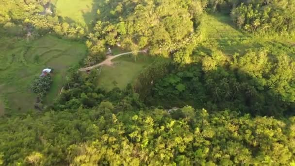 Вид Воздуха Природный Водопад Бассейн Пышной Зеленой Растительностью Деревья Близлежащей — стоковое видео