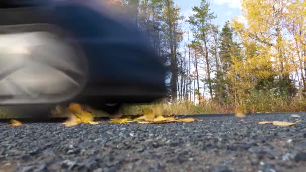 Ground Level Perspective Car Driving Asphalt Road Autumn Fallen Yellow — Stockvideo