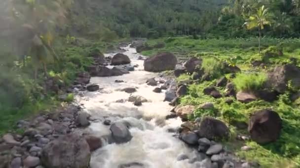 Drone Footage Flying Fast Flowing River Rocky Riverbed Fresh Green — Vídeo de stock