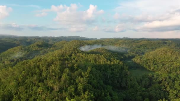 Kurzfilm Über Einen Tropischen Regenwald Südostasien Mit Tief Liegenden Nebelschwaden — Stockvideo