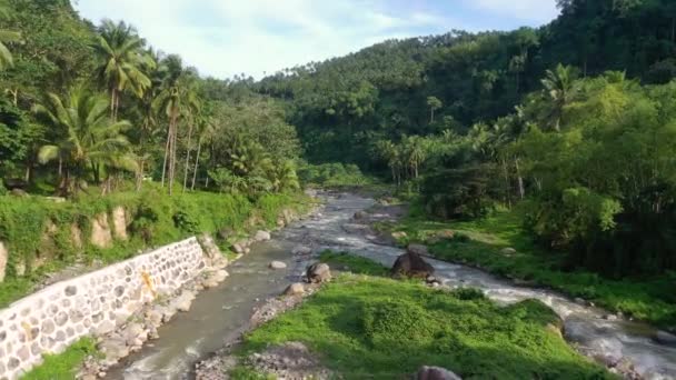 Short Movie Natural Watercourse Wide Shallow River Philippine Jungle Lush — Wideo stockowe