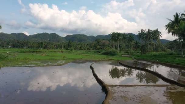 Drone Footage Traditional Farming Methods Philippines Flooded Paddy Terraces Clearing — Vídeo de stock