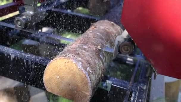 Short Clip Industrial Band Saw Work Outdoors Removing Outer Layer — Stockvideo