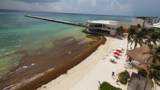 Descending Drone View Waves Washing Seaweed White Sandy Caribbean Beach — Vídeo de Stock