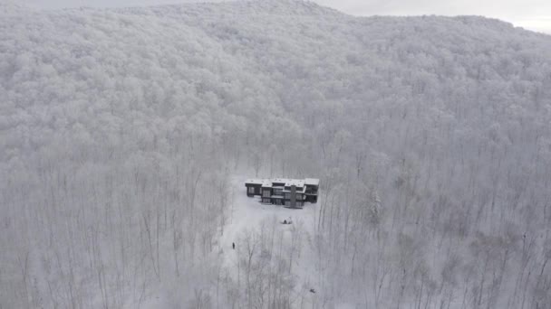 Drone Pans Out Revealing Winter Fairytale Scene White Forest Winter — Stockvideo