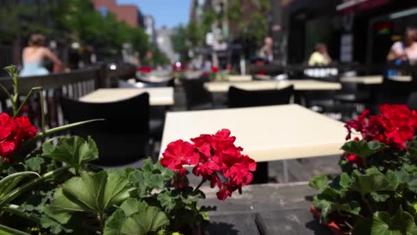 Close Selective Focus Shot Red Geranium Flowers Pots Montreal Street — Stok video