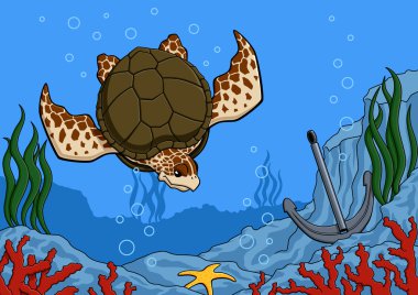 deniz kaplumbağası