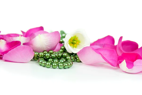 Colori di sfondo brillanti nei petali di rose — Foto Stock